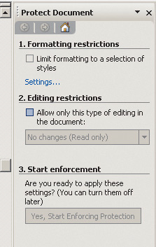 Рис. 6. Панель Protect Document 