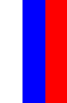 Рис. 48. Растровое изображение для текстурирования флага 