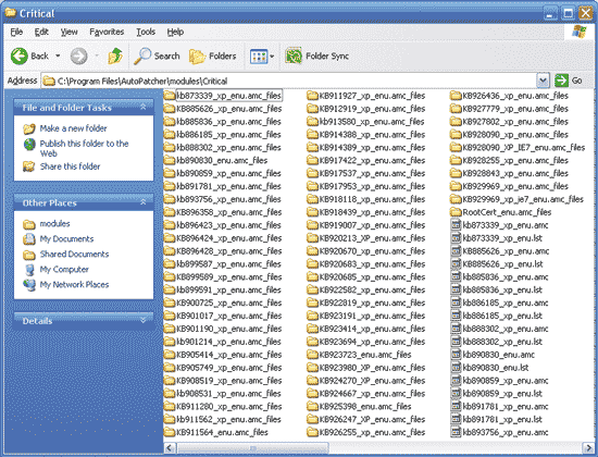 Файлы обновления, содержащиеся в распакованном архиве C:\Program Files\AutoPatcher\modules\Critical
