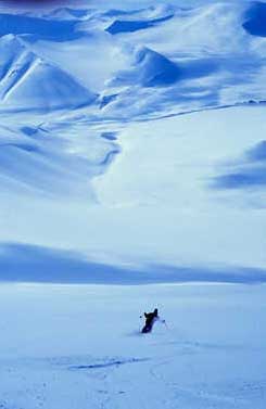 Рис. 60. Исходное изображение снежного пейзажа с лыжником