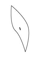 Рис. 22. Исходное изображение в виде двух криволинейных контуров