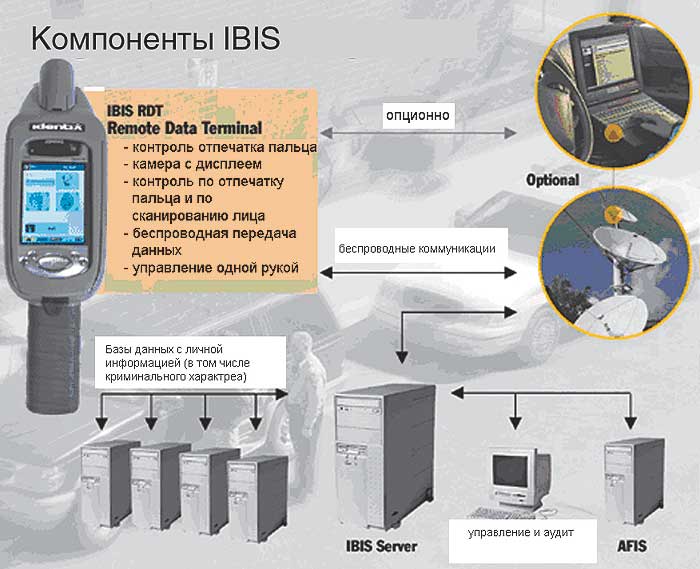 Схема работы IBIS RDT  