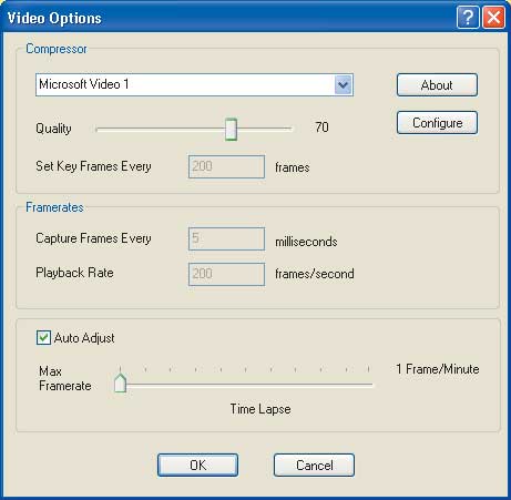 Рис. 12. Панель Video Options