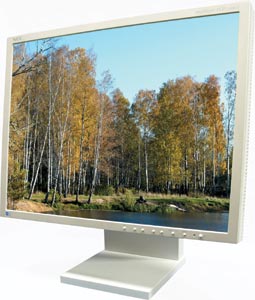 NEC MultiSync LCD 2180UX