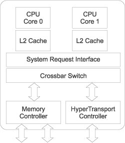 Рис. 2. Архитектура процессора AMD 