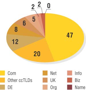 Рис. 5. Процентное соотношение различных типов доменов (источник: VeriSign, октябрь 2004)