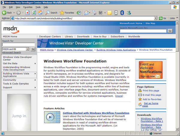 Раздел, посвященный Windows Workflow Foundation 