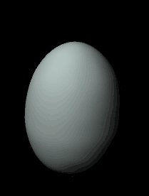 Рис. 33. Яйцо