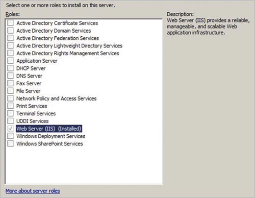 Рис. 7. Серверные роли в Windows Server 2008
