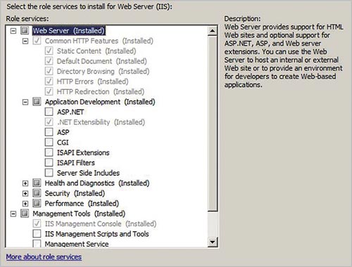 Рис. 8. Ролевые сервисы в Windows Server 2008