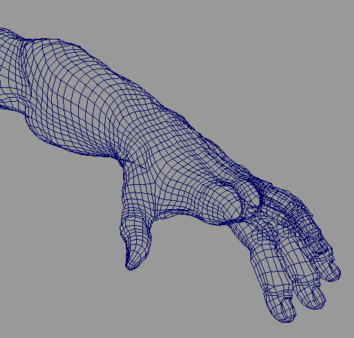 Рис. 1. Фрагмент модели руки, созданной на базе Subdivision Surface и имеющей в различных областях разный уровень детализации 