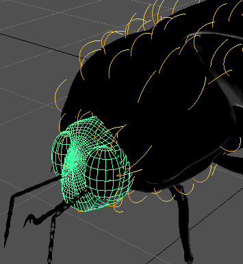 Рис. 91. Вид масштабированной головы жука после изменения наклона ворсинок