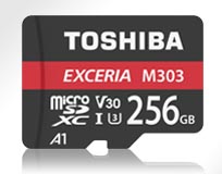 Toshiba EXCERIA M303