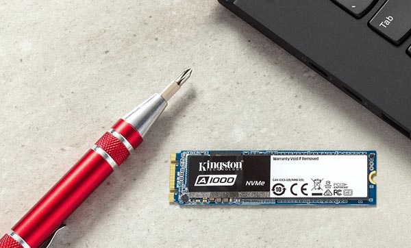 Kingston A1000