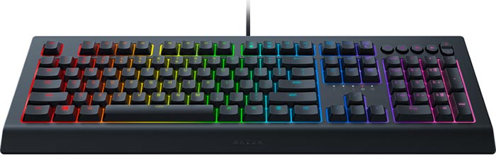 Не работает клавиатура razer cynosa v2