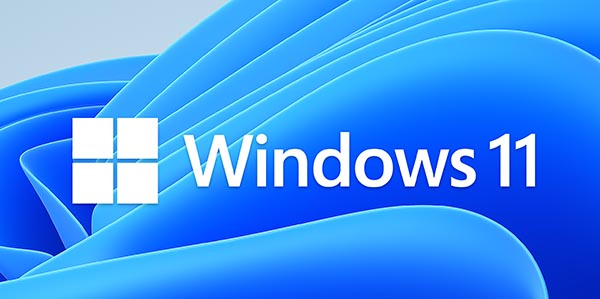 Windows 11 logo