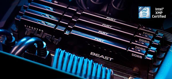 Kingston FURY Beast DDR5