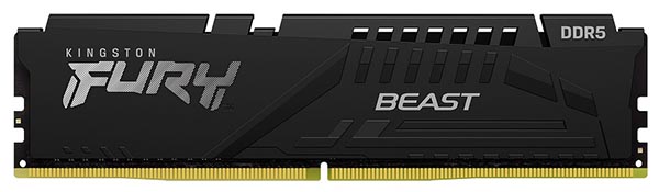 Kingston FURY Beast DDR5