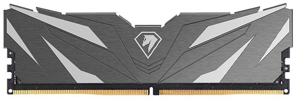 Netac Shadow II DDR5